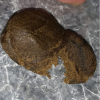 Afghan Black Hash 25G