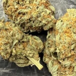 Alien Dawg Strain 3.5G, 25% THC [ INDICA ]