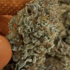Cookies (Strong Indica) | High-THC Strain 3.5G