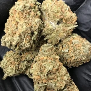 Mango Haze Strain [ HYBRID ] 3.5G