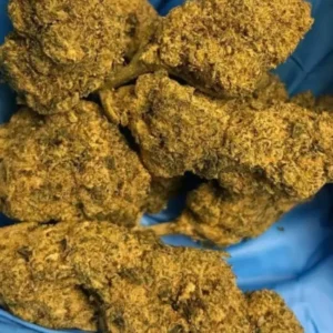 Master Kush Strain[ IMPORT ] 3.5G, 24% THC