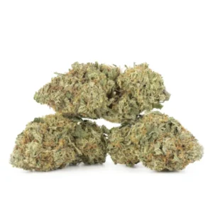 UK Cheese Cannabis Strain , Hybrid 20% THC 7G