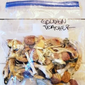 Golden Teacher Capsules 1OZ
