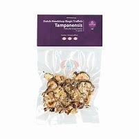Tampanensis Magic Truffles (28 GRAMS)