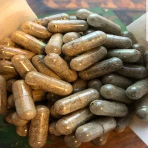 Psilocybin Mushroom Capsules 1oz