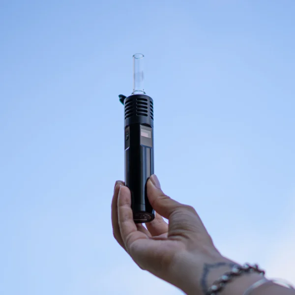 10/10boyz THC Vapes 1 10/10boyz THC Vapes